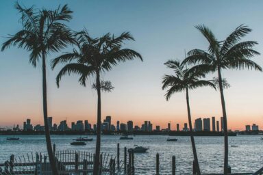 Image showing palm trees and the downtown skyline of Miami Beach