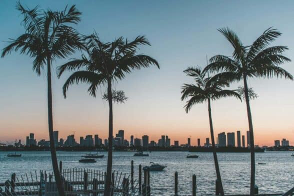 Image showing palm trees and the downtown skyline of Miami Beach
