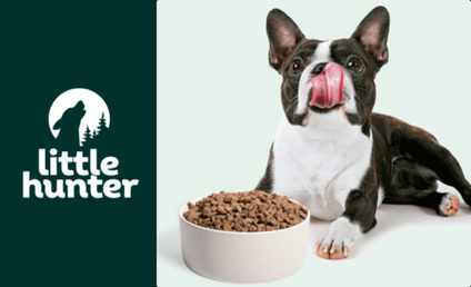 How Little Hunter Registered and Filed in 15+ States with Zamp