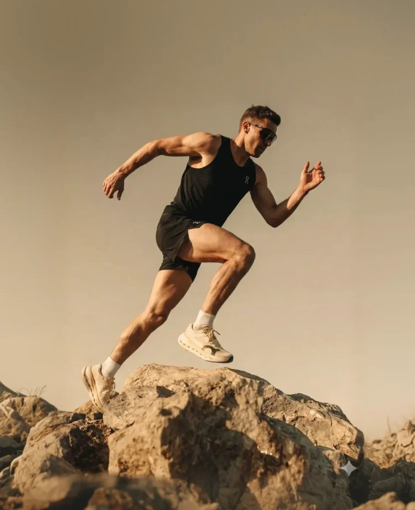 Zamp feature illustration